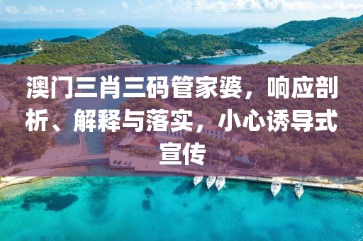 澳门三肖三码管家婆，响应剖析、解释与落实，小心诱导式宣传