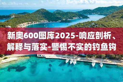 新奥600图库2025-响应剖析、解释与落实-警惕不实的钓鱼钩
