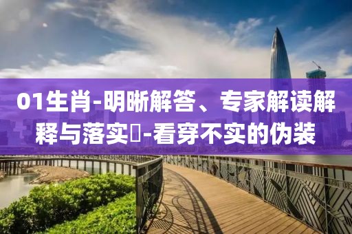 01生肖-明晰解答、专家解读解释与落实​-看穿不实的伪装